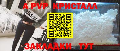 шишки Славгород