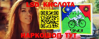 шишки Славгород