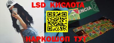 шишки Славгород