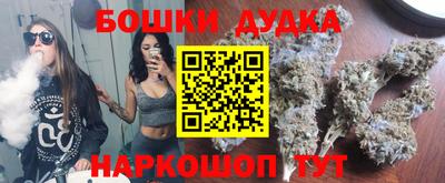шишки Славгород