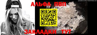 шишки Славгород