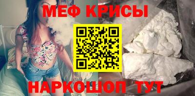 шишки Славгород