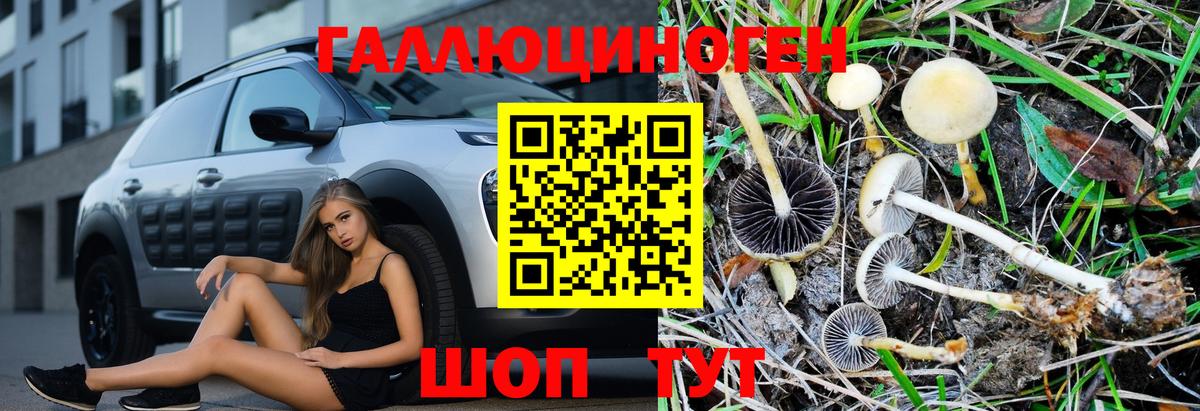 Галлюциногенные грибы прущие грибы Асбест