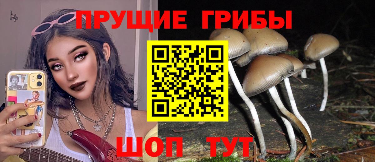 Асбест  Галлюциногенные грибы Cubensis  Вход с VPN 
